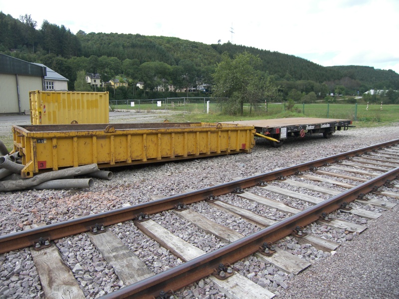 Petite promenade sur la Ligne du Nord  100_8419