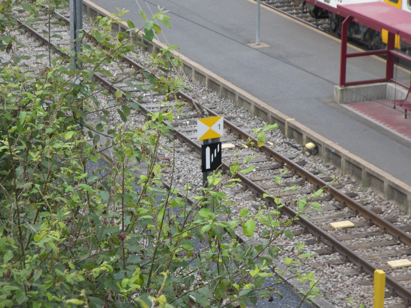 Petite promenade sur la Ligne du Nord  100_8519