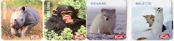 PETITS FRUITES : Magnets "bébé animaux" série enneigée et savane
