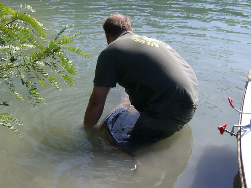 SORTIE DU LUNDI 2010