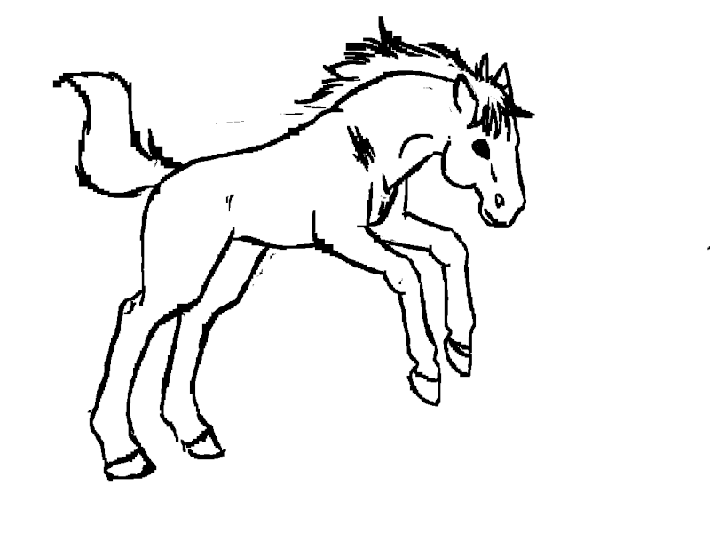 Miels Doodles  Cheval10