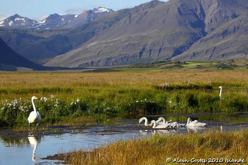 Islande 2010 Island18