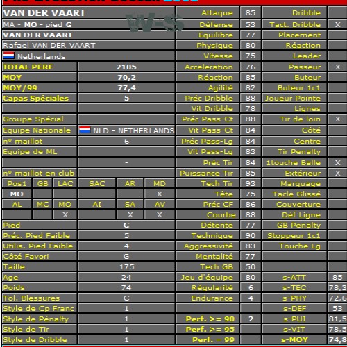 Van Der Vaart peut partir ! Vdv11
