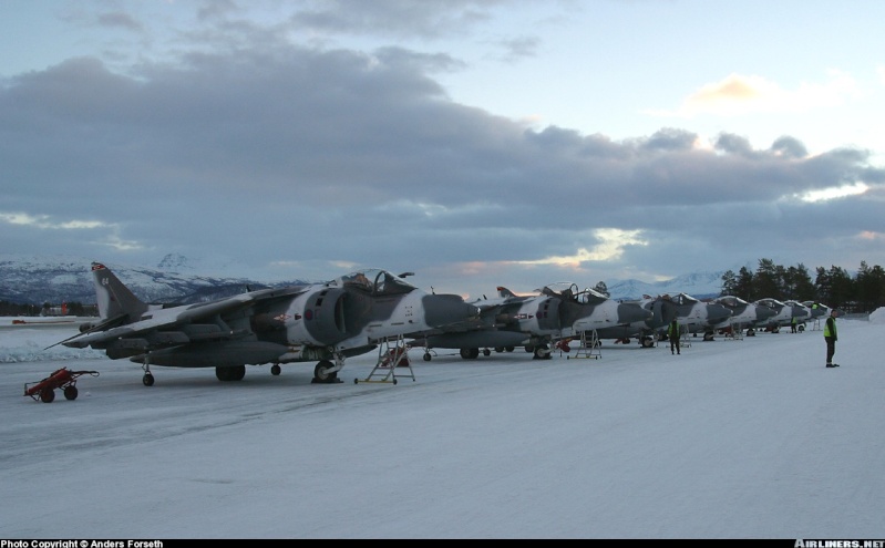 British Aerospace Harrier GR7 Winter scheme Harrie10