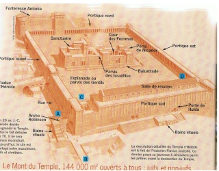 Recontruire le temple de Jérusalem Temple10