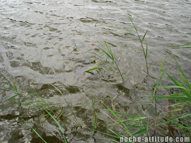 Tertre : Chpitre... ??? Dsc00220