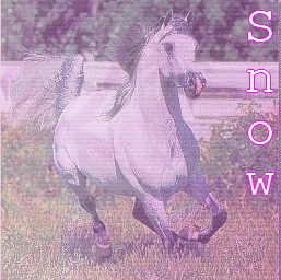 SnOw   le gros loulou 19936210