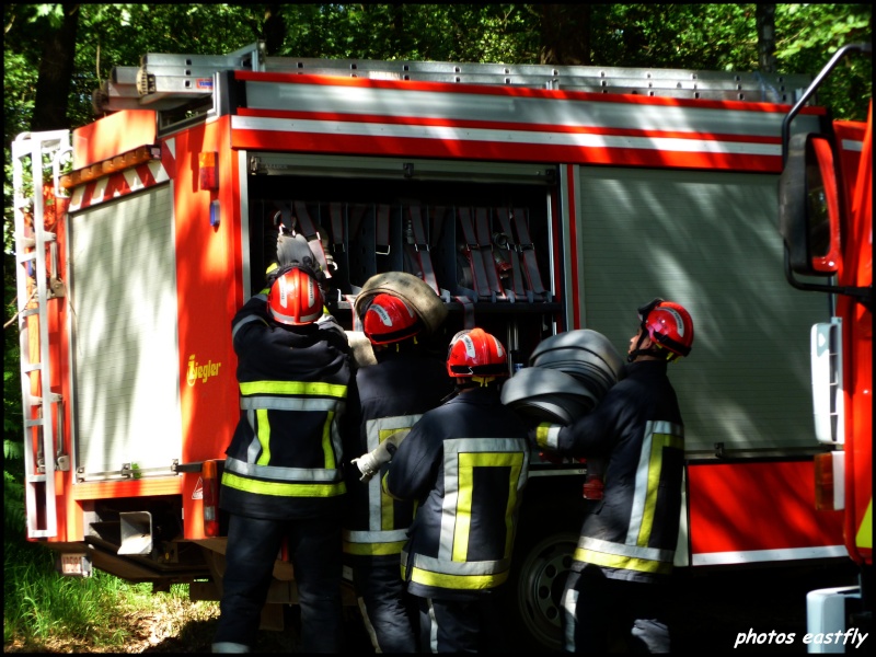 feux de foret a Theux (8/07/2010) 630b10