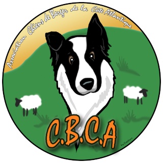 Présentation de la CBCA en quelques mots Cbca_c10