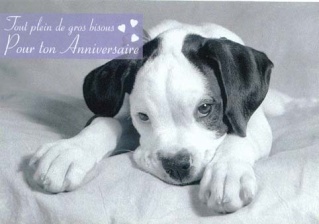 Joyeux Anniversaire Agnes Page 2 Joyeux Anniversaire Agnes Page 2