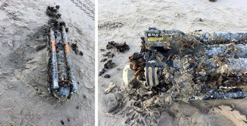 Une torpille belge s’échoue sur la plage de Fort-Mahon ! Torpil10