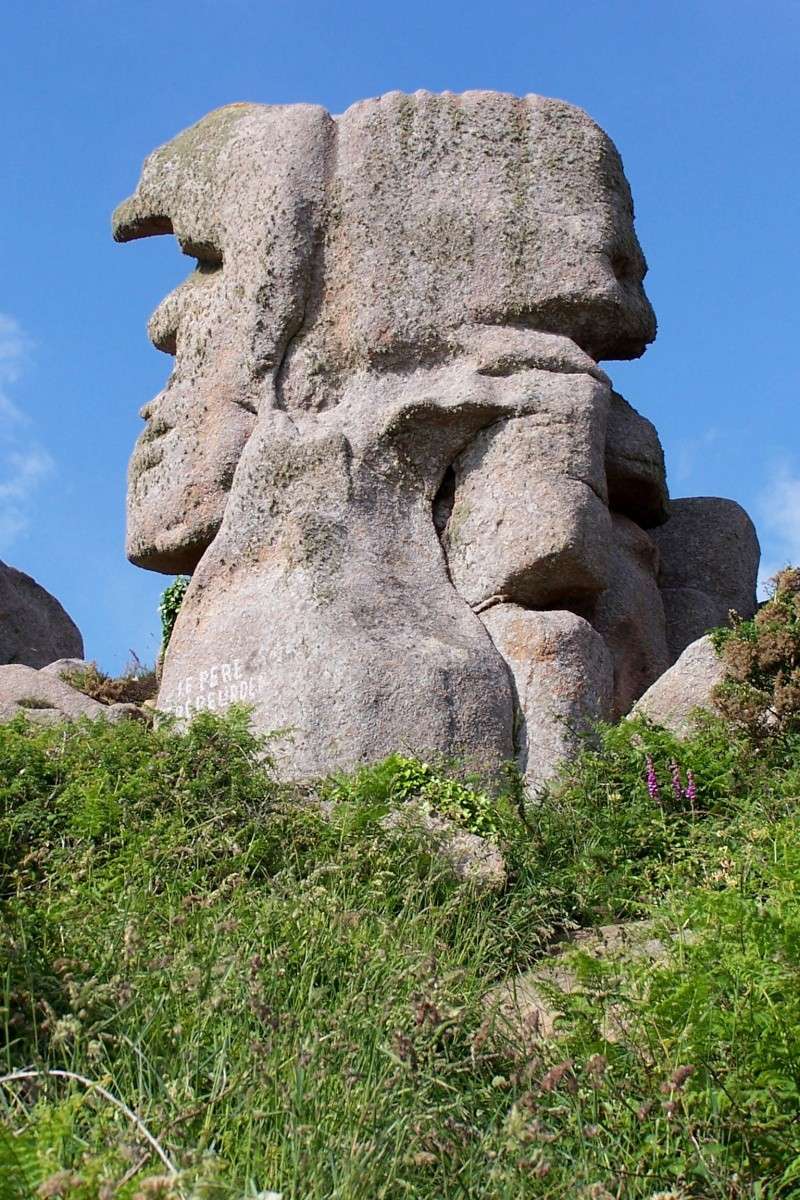 Les curiosités de Dame Nature Trebeu10