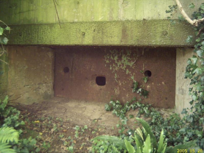bunkers Bunk210