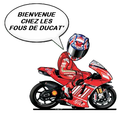 Bonjour à tous les passionnés de Ducat'... Sans_t38