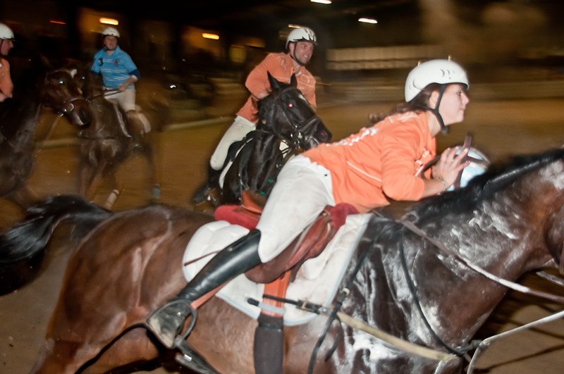 Horse ball à Ronchin 20810