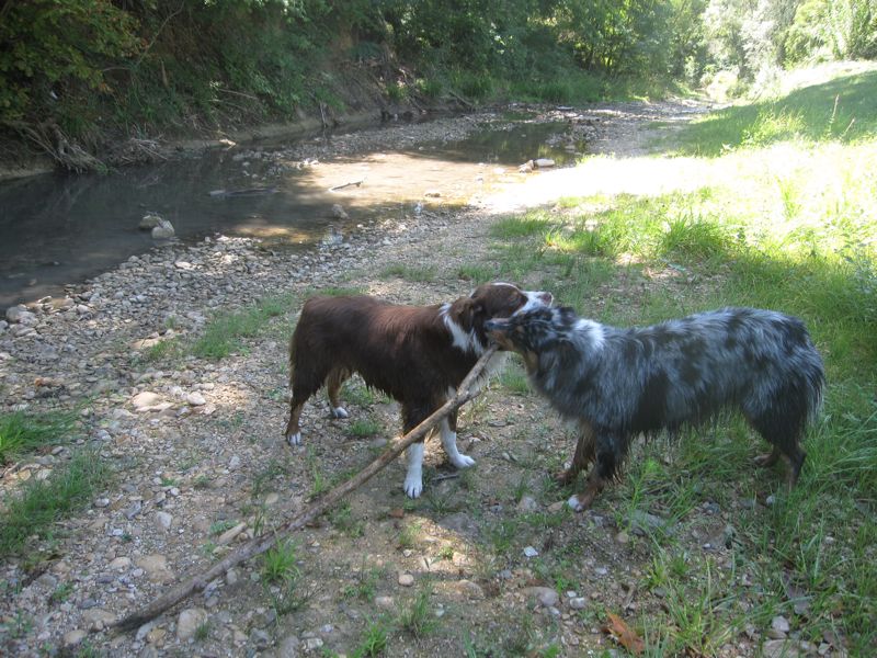 Bony et Dax, un quotidien bien ordinaire, .... - Page 9 929