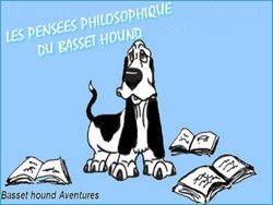 créer un forum : basset hound aventures - Portail Portai49