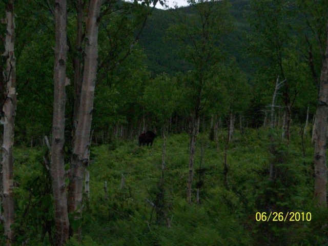 Départ pour la Gaspésie Lundi soir 100_0823