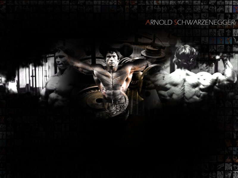 wallpapers divers....... - Page 2 Arnold10
