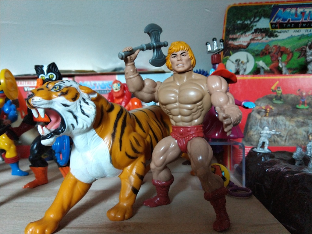 PRIMAL HE-MAN et son TIGRE Img_2026