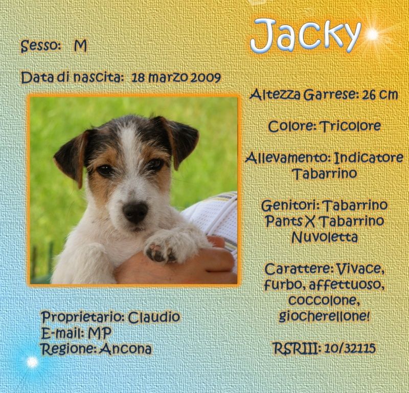 SCHEDE DEI NOSTRI JACK RUSSELL Jacky10