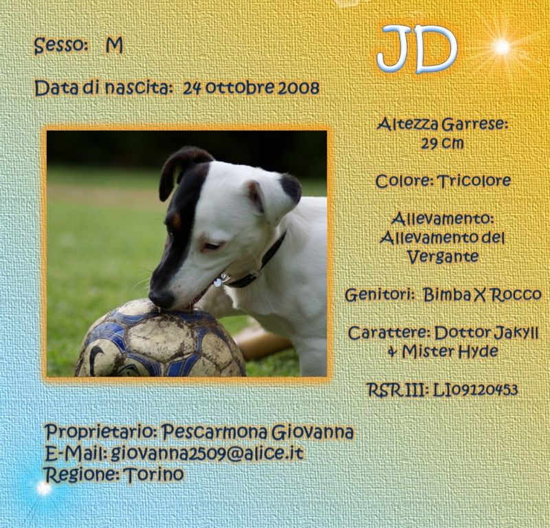 SCHEDE DEI NOSTRI JACK RUSSELL Jd10