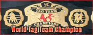 Liste des champions de RAW Ttrawm10