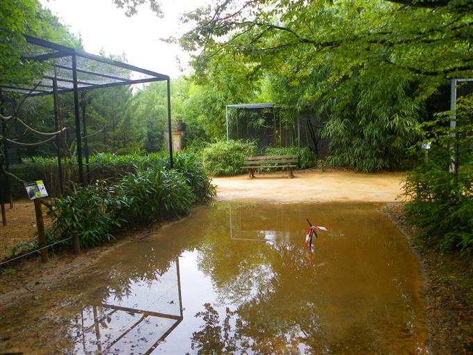 Villars les Dombes : le parc des oiseaux subit les conséquences du violent orage de mardi  Le-par10