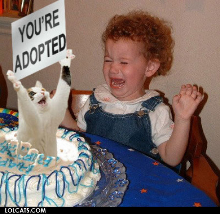 HAPPY BIRTHDAY IGGY Lolcat10