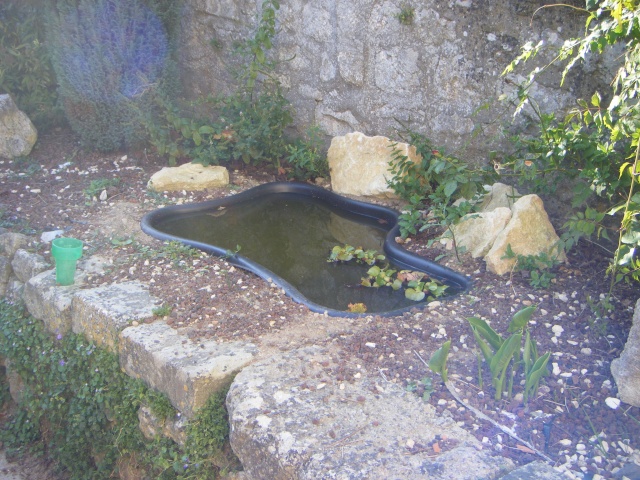 bassin exterieur Dscf1013