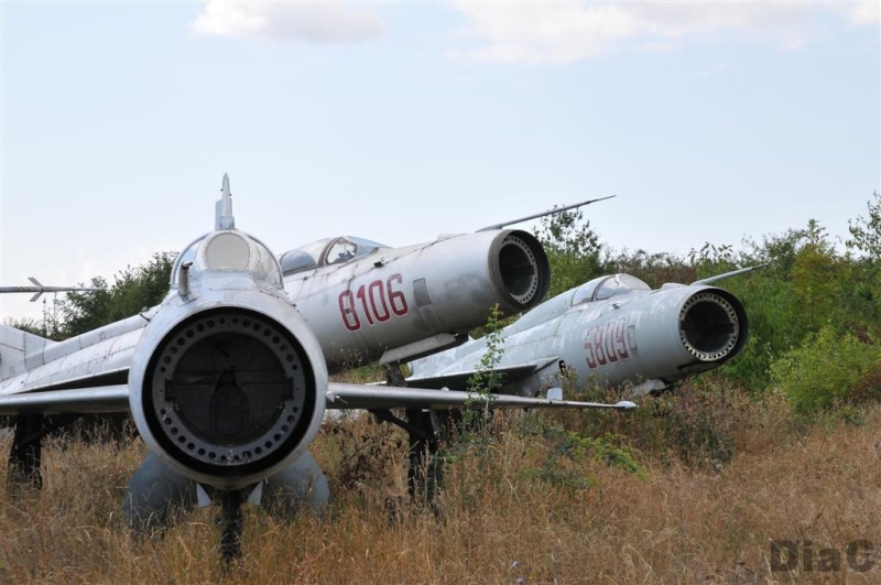 Aeroportul Craiova - 2008 Ban_1010