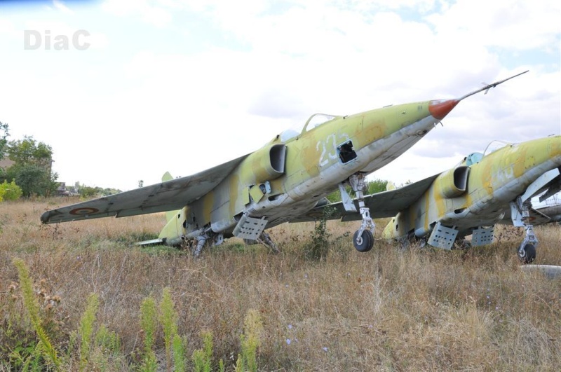 Aeroportul Craiova - 2008 Ban_1015