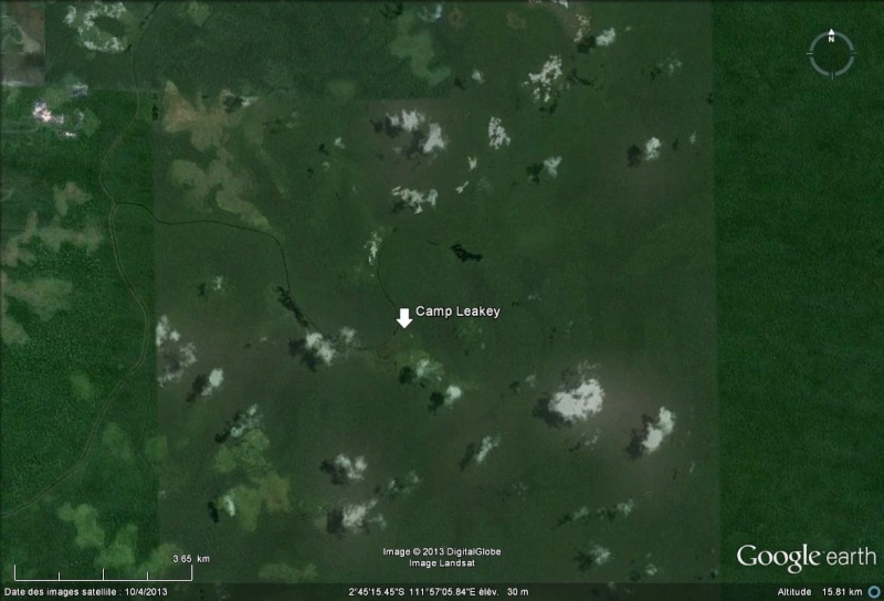 [Indonésie] - Camp Leakey (Kalimantan, Tenggah), centre de recherche sur l'oran-outang Camp_l10