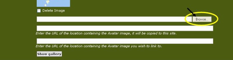 HOW TO PUT AVATAR ON YOUR ACCOUNT 2210
