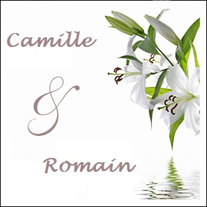 Union de "Camille & Romain" Url11