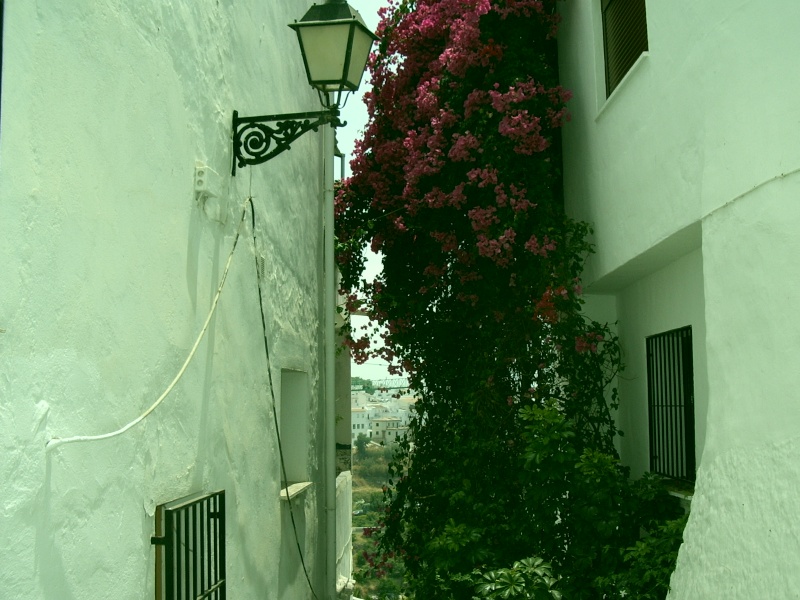 Espagne - Andalousie - Almunecar  Imgp0311