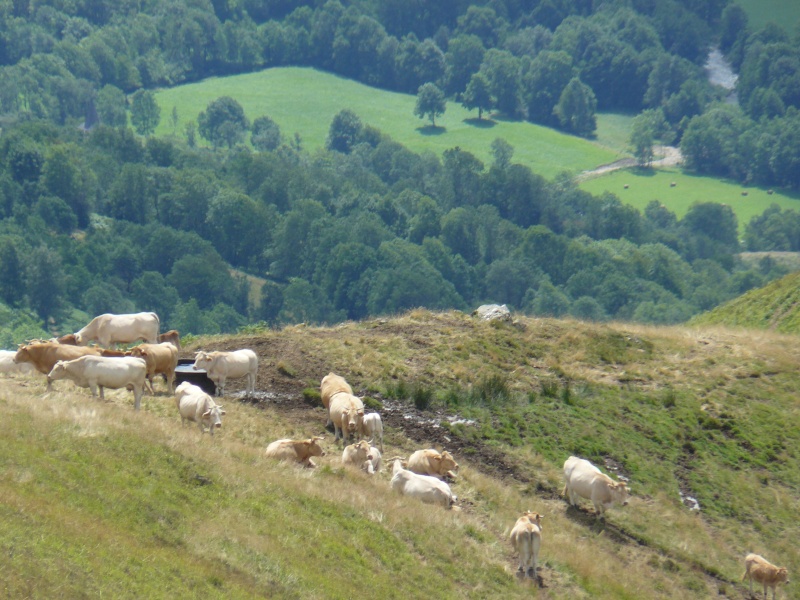 Photos des Pyrénées  P1160417