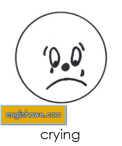 بطاقات تعليمية للوجوة التعبيرية فى اللغة الانجليزية بالصور للاطفال Facial Expressions for Childred 315