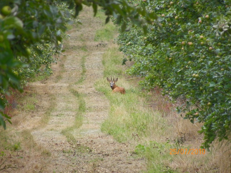 Rencontre  Juille10