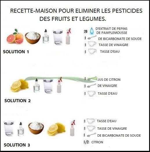 A défaut de manger des fruits bio, Prenons des précautions pour manger des fruits et des légumes moins pollués. Pestic10