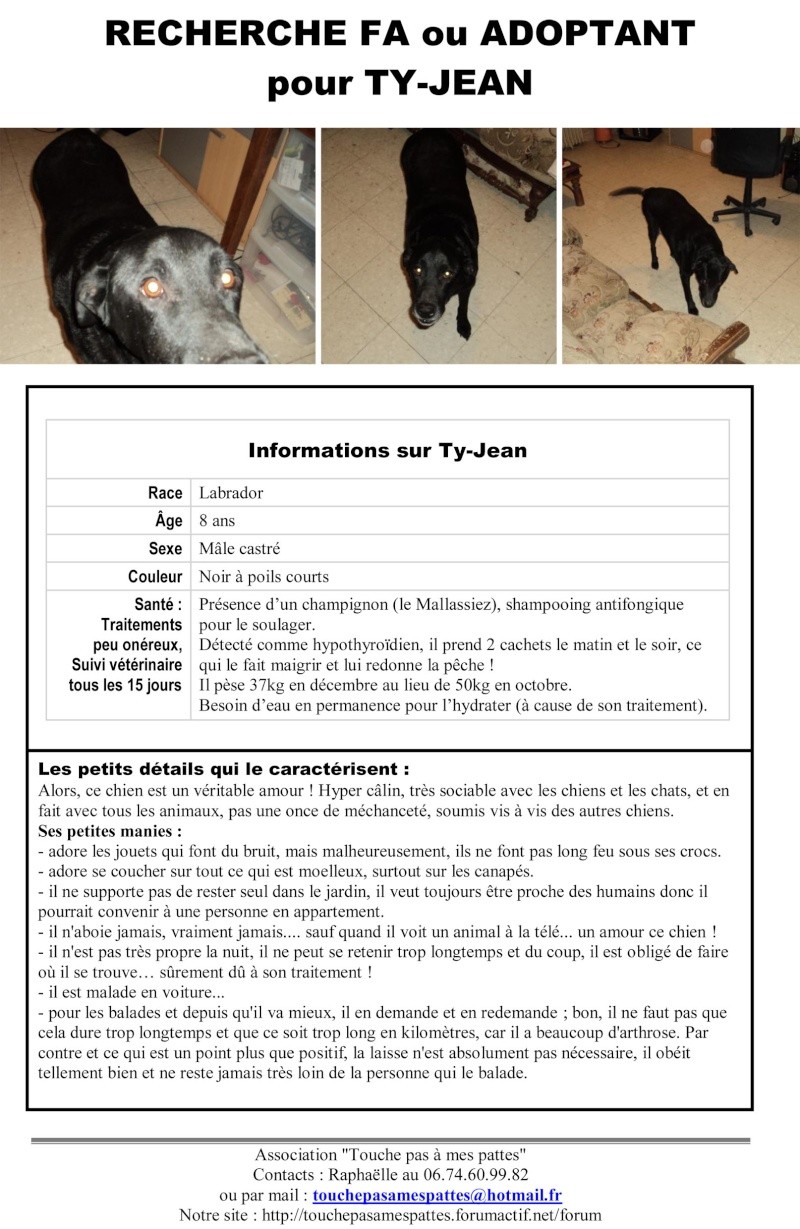 TY-JEAN, labrador 8ans  - Page 2 Affich10