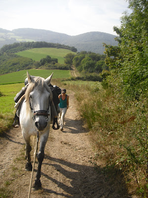 2 jours dans les Monts du Lyonnais  Cimg6816