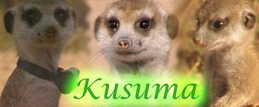 Happy Birthday Kusuma! Kusuma10