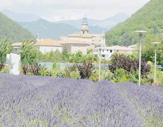 IL ETAIT UNE FOIS ..VALENSOLE - Page 3 Dd_bmp12