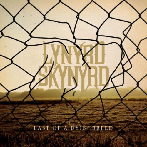 Lynyrd Skynyrd - Last Of A Dyin' Breed 2_last10