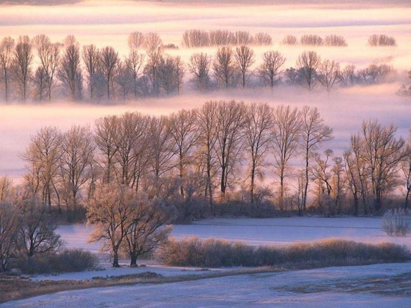meteo - Page 37 Hiver10