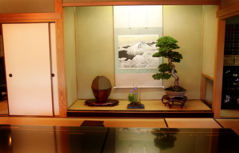 Bonsai for Interior Decoration Dsc02810