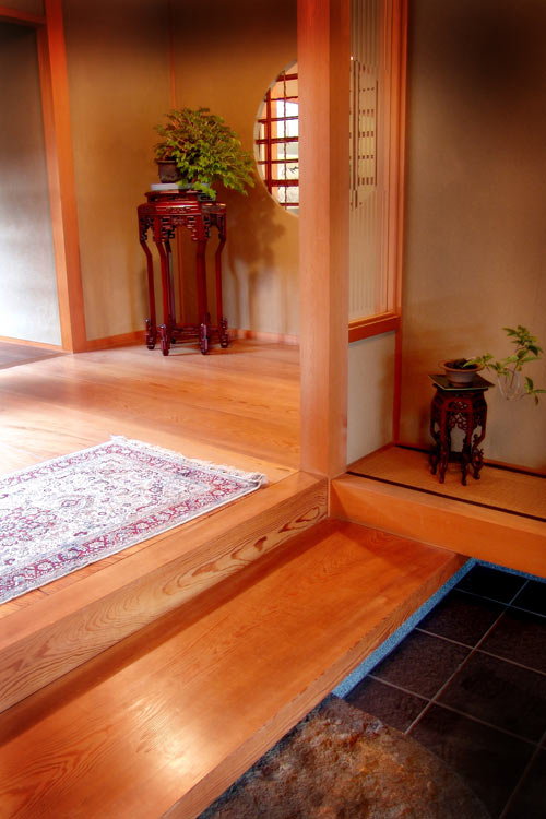 Bonsai for Interior Decoration Dsc02811