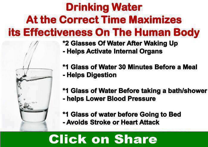 Benifits of drinking wAter At  propEr time 8020_310