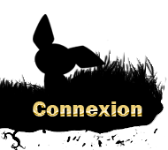 Connexion